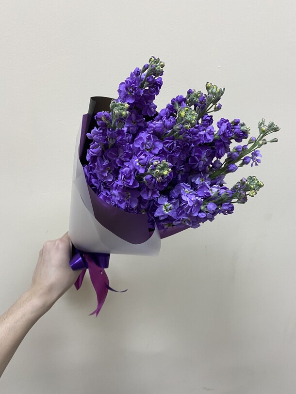 Букет из 9 маттиол за 4700₽ с доставкой в Москве от Ц В Е Т К Е В И Ч на Flawery