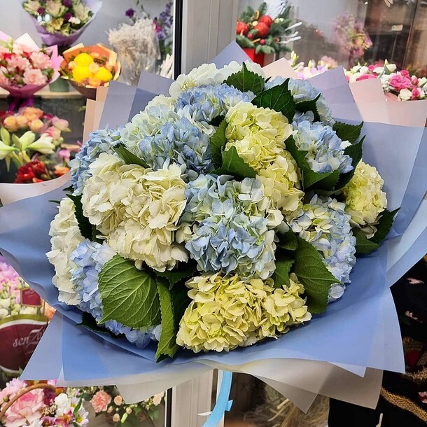 Букет из бело -голубых гортензий 🤍💙 за 6160₽ с доставкой в Москве от FlorMarket.RU-Флормаркет.РФ на Flawery