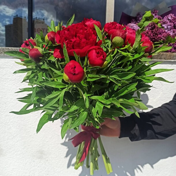 Букет цветов Монобукет из 25 пионов за 10010₽ с доставкой в Москве от FlorMarket.RU-Флормаркет.РФ на Flawery