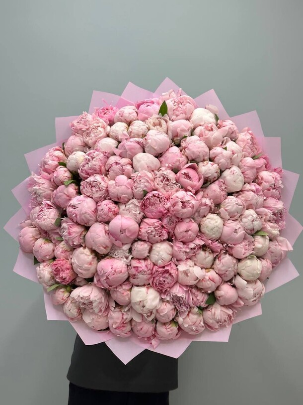 Букет цветов 151 пион розовый 💖 за 125200₽ с доставкой в Москве от Flowers heaven на Flawery