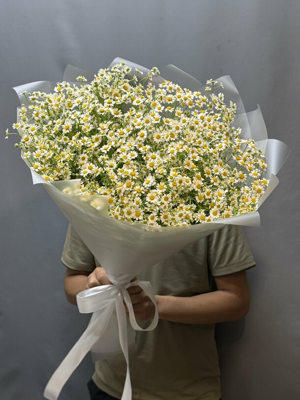 Ароматные ромашки💖, артикул F1430987 - 7500 рублей, доставка по городу. Flawery - доставка цветов