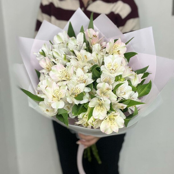 Букет из 7 альстромерий в упаковке за 3130₽ с доставкой в Москве от Petalia на Flawery