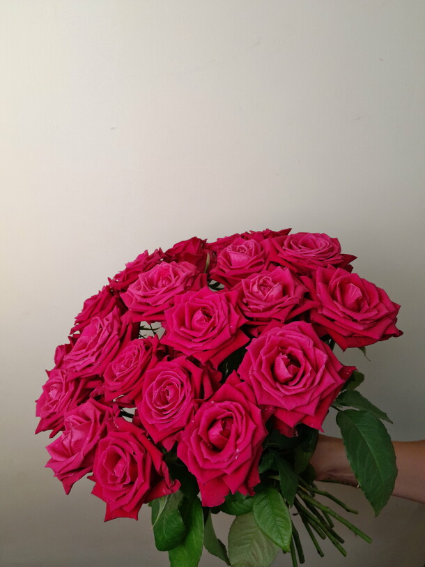 Роза пинк 50 см, артикул F1186333 - 6188 рублей, доставка по городу ...