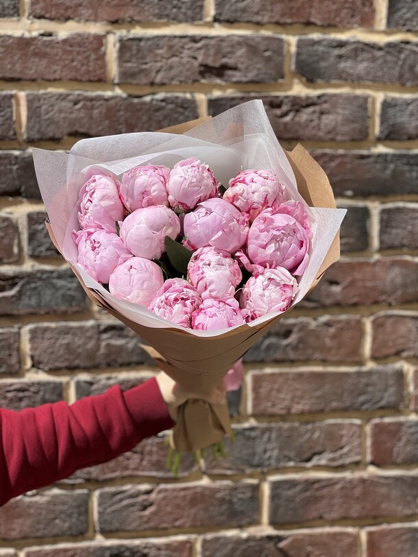 😍☺️💝💐букет из 13 пион сара бернар🚀❤️🥰, артикул F1192214 - 4999 рублей, доставка по городу. Flawery - доставка цветов