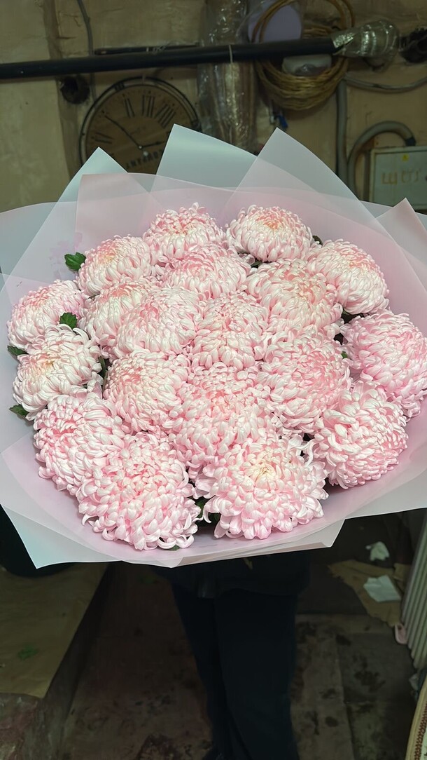 Букет из 19 нежных розовых шаровидных хризантем 💞 за 9990₽ с доставкой в Москве от Цветы радости на Flawery
