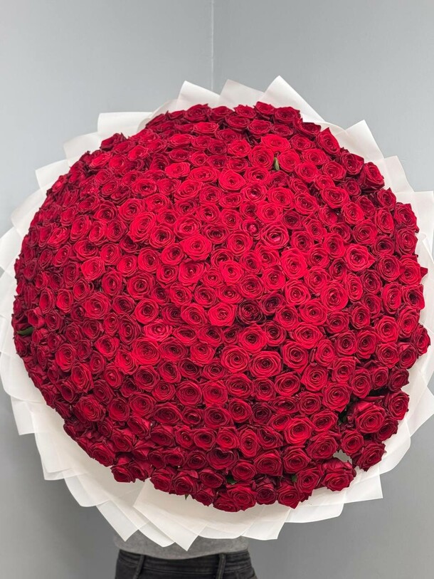 Букет из 201 красных роз за 41990₽ с доставкой в Москве от Redrose Красная роза на Flawery
