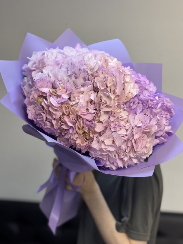Букет из 5 шт гортензии супер подарок 🎁, артикул F1556832 - 2100 рублей, доставка по городу. Flawery - доставка цветов