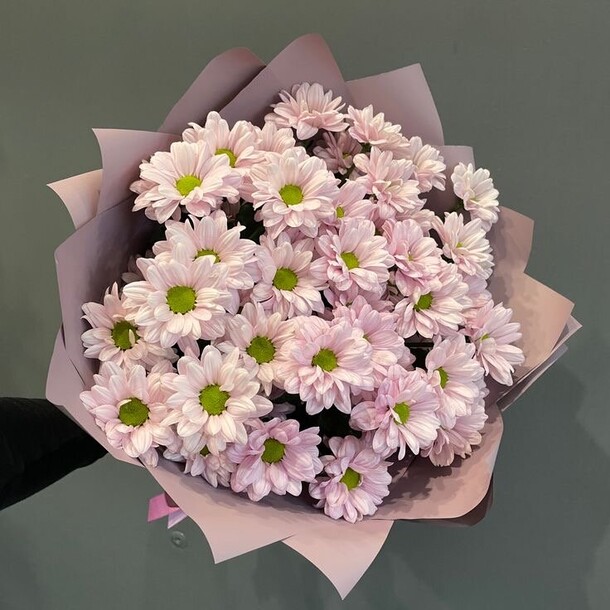Букет цветов Хризанте 💕 за 6049₽ с доставкой в Москве от 101РОЗА на Flawery
