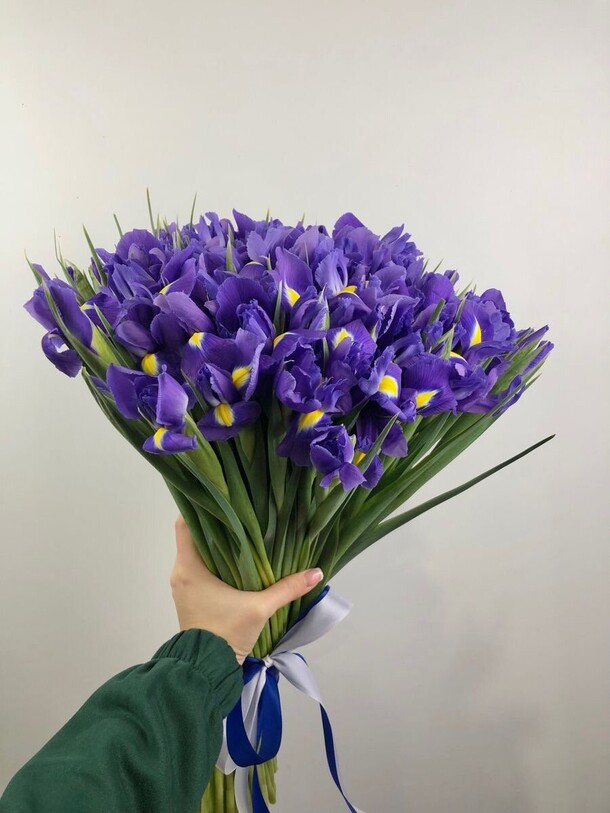 Букет цветов Ирис 51 за 13800₽ с доставкой в Москве от 101РОЗА на Flawery