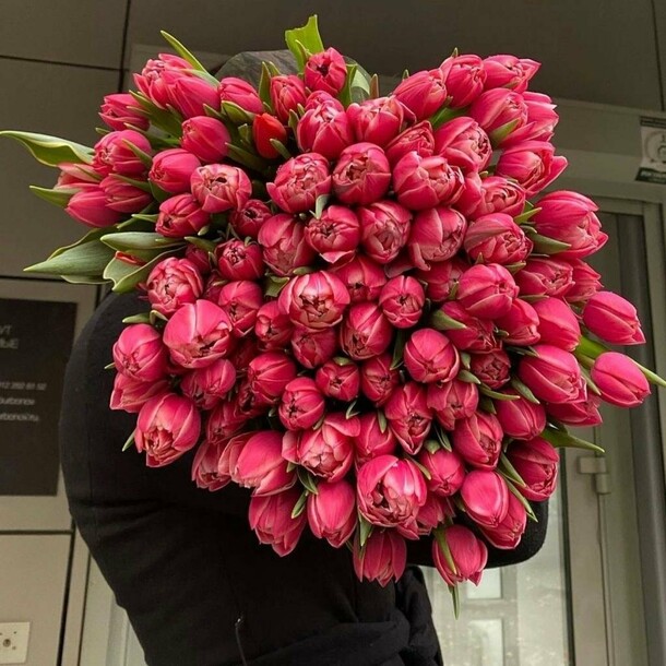 Сто один тюльпан 🌷, артикул F1251384 - 22777 рублей, доставка по городу ...