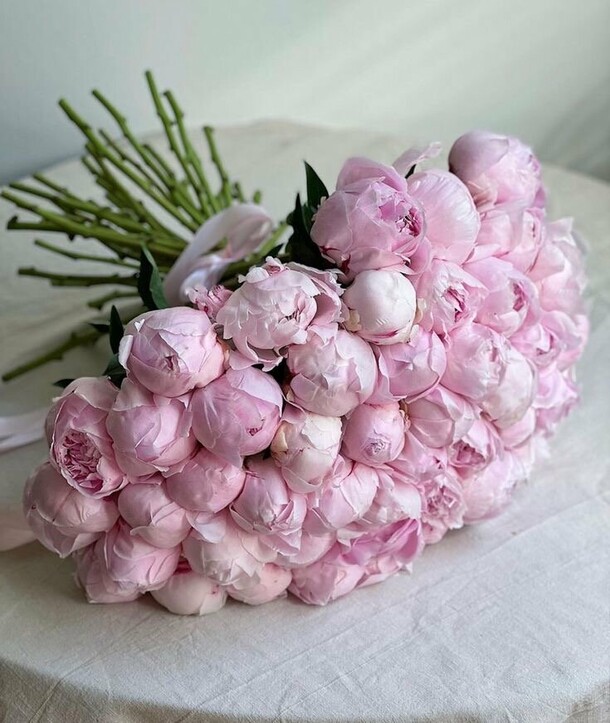 Пиона 💕, артикул F1290894 - 30105 рублей, доставка по городу. Flawery - доставка цветов