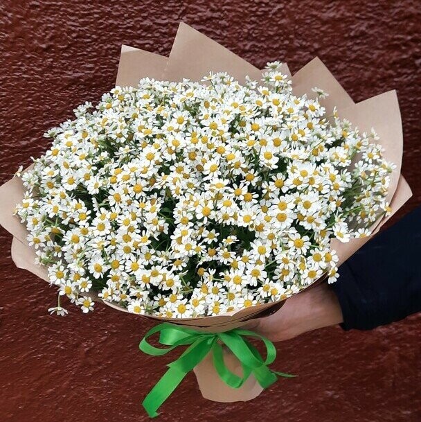Букет ромашек аура за 7400₽ с доставкой в Москве от 51pion.Ru на Flawery