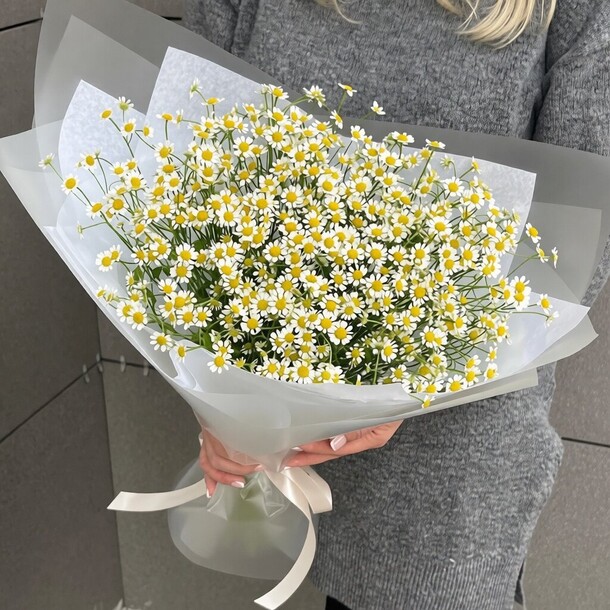 Букет из 19 кустовых ромашек за 5950₽ с доставкой в Москве от 51pion.Ru на Flawery