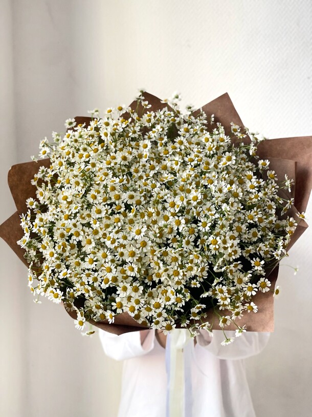 Букет ромашек нежных за 5000₽ с доставкой в Москве от Family Flowers на Flawery