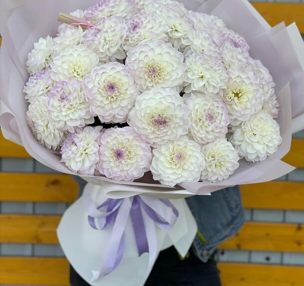 Букет из георгин за 11455₽ с доставкой в Москве от Mary Flowers на Flawery