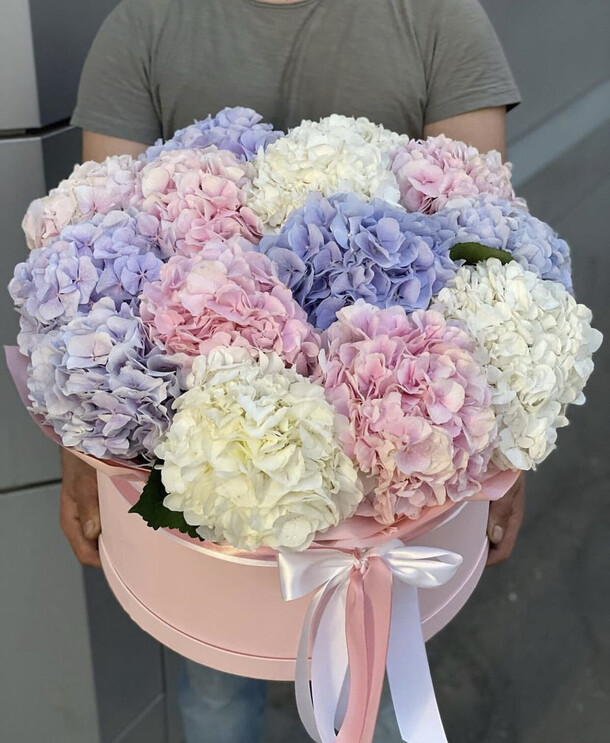 Букет цветов Гортензия в коробке за 20023₽ с доставкой в Москве от Mary Flowers на Flawery