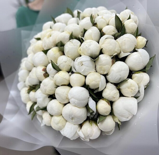 Букет цветов 75 белых пионов за 24540₽ с доставкой в Москве от Mary Flowers на Flawery