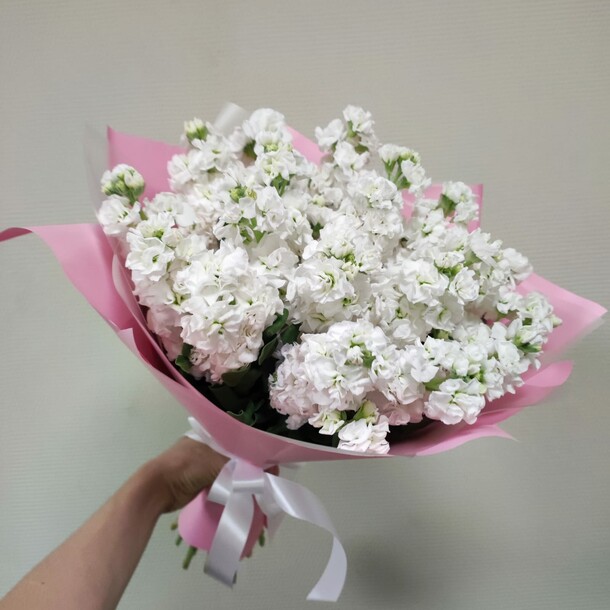 Букет из 19 белых матиол за 7248₽ с доставкой в Москве от GiveFlowers на Flawery