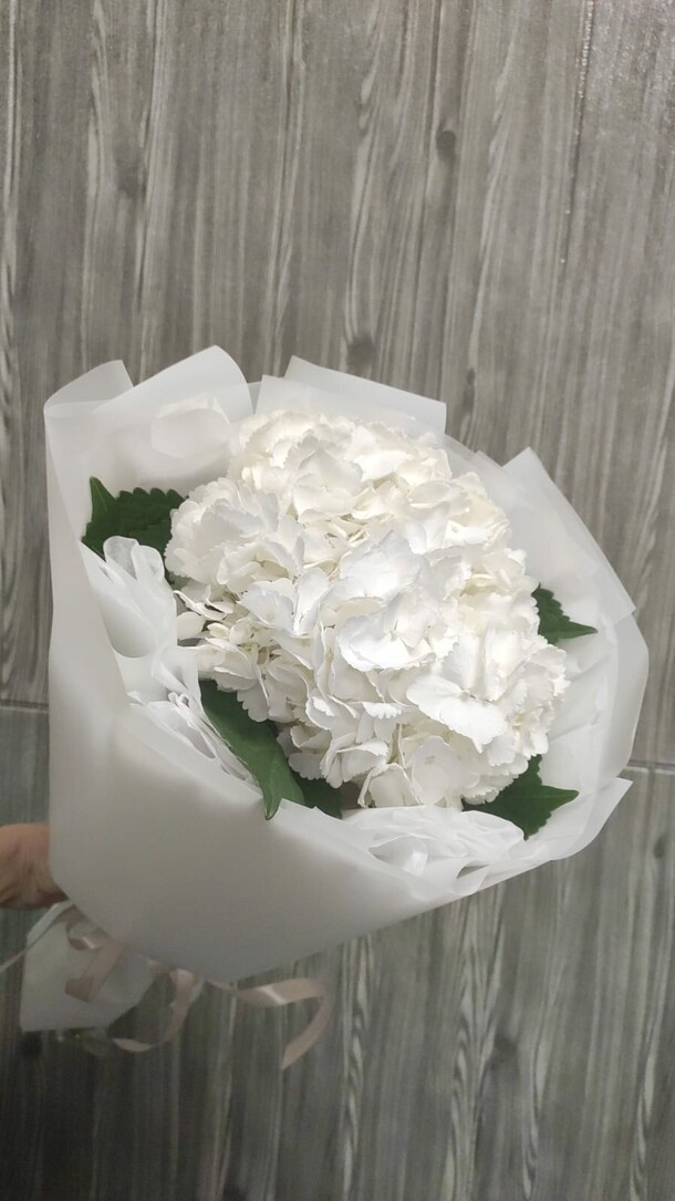 Букет из белой гортензии за 1750₽ с доставкой в Москве от GiveFlowers на Flawery