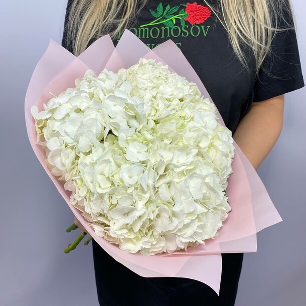 Букет из белых гортензий за 4200₽ с доставкой в Москве от Lomonosov Flowers на Flawery