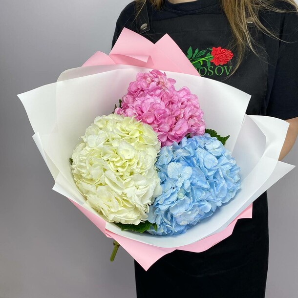 Букет из 3 разных гортензий за 3165₽ с доставкой в Москве от Lomonosov Flowers на Flawery