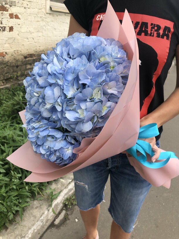 Холодок гортензия, артикул F93597 - 3650 рублей, доставка по городу. Flawery - доставка цветов