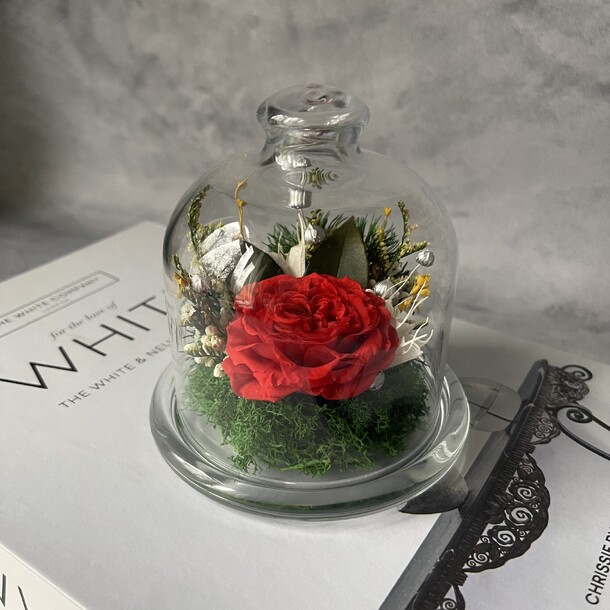 Букет цветов Красная роза в мини колбе за 3900₽ с доставкой в Москве от Roses and Posies на Flawery