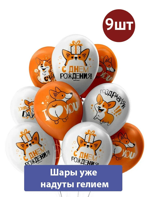 Воздушные шары с гелием с днем рождения корги 9шт за 3881₽ с доставкой в Москве от Мосшар на Flawery
