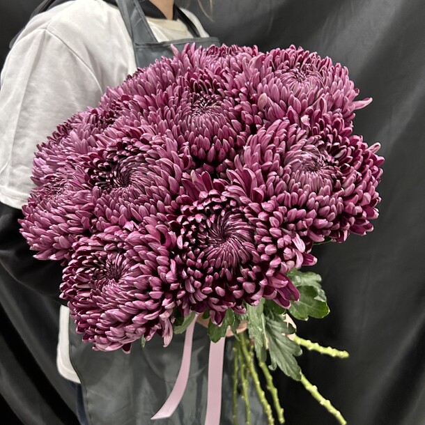 Букет хризантема бигуди винные за 4800₽ с доставкой в Москве от Boutique de fleurs на Flawery