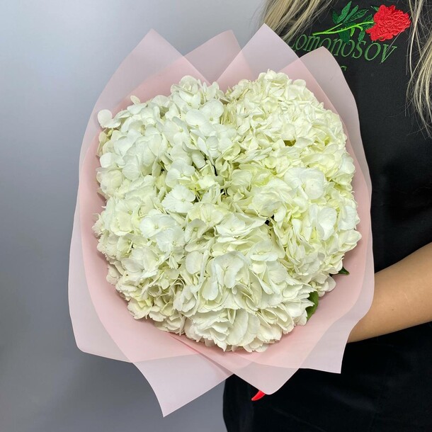 Букет "облачко" из 5 белых гортензий за 3990₽ с доставкой в Москве от Fresh на Flawery