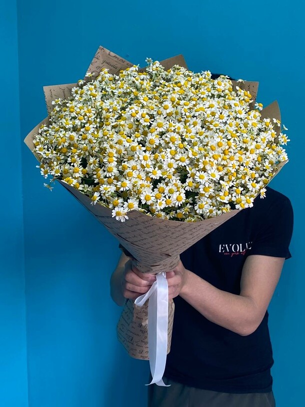 Букет из ромашек за 7500₽ с доставкой в Москве от Beauty Flowers на Flawery