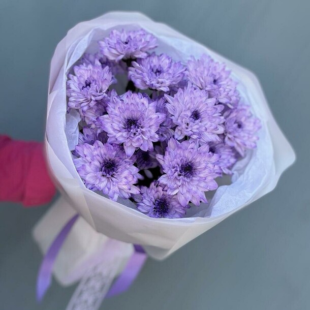 Букет цветов Монобукет из 3 сиреневых кустовых хризантем 💜 за 1400₽ с доставкой в Москве от Flowers Dg на Flawery