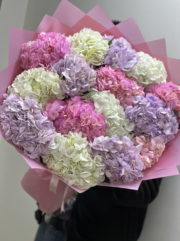 Букет из 15 гортензия за 9500₽ с доставкой в Москве от Ателье Цветов на Flawery