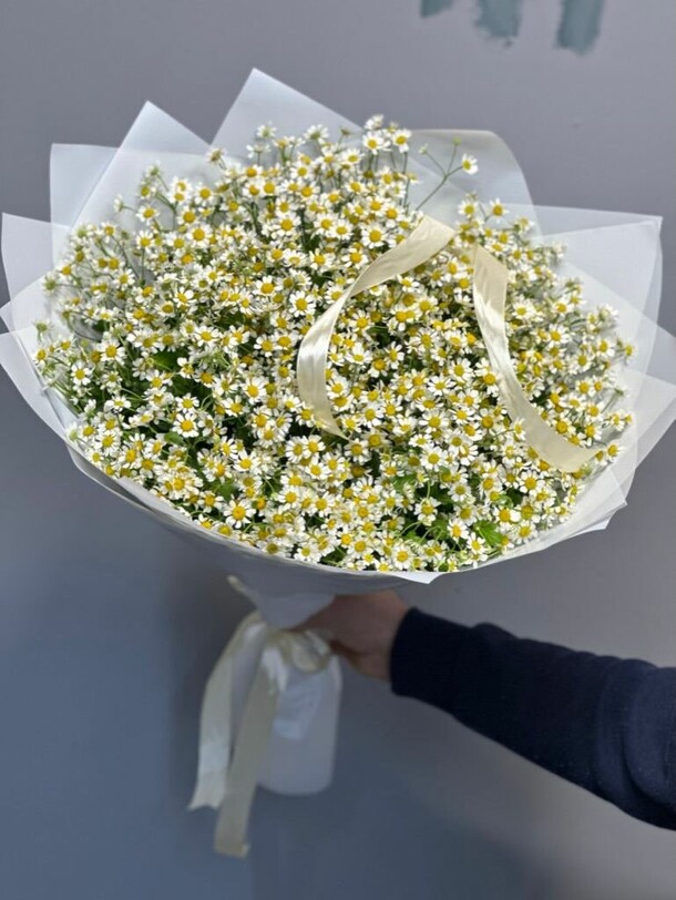 Букет из 25 ромашек за 5900₽ с доставкой в Москве от Ателье Цветов на Flawery