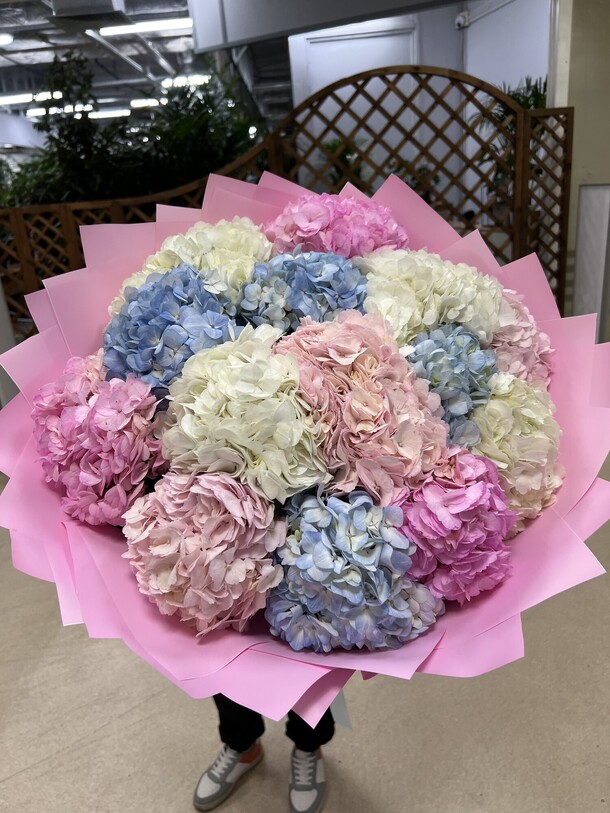 Букет из 15 гортензии микс за 10990₽ с доставкой в Москве от FLORAPARADISE.BM на Flawery