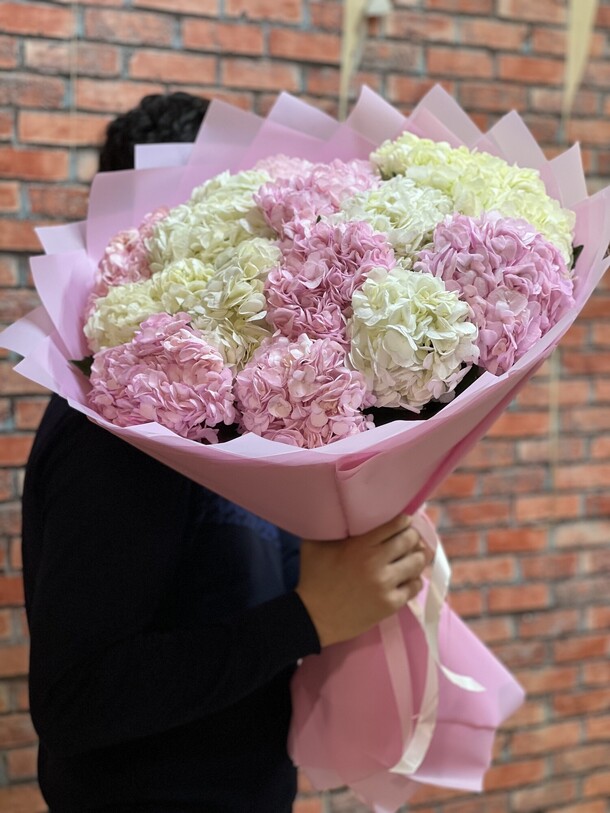 Букет из 15 гортензии колумбия за 9890₽ с доставкой в Москве от FLORAPARADISE.BM на Flawery