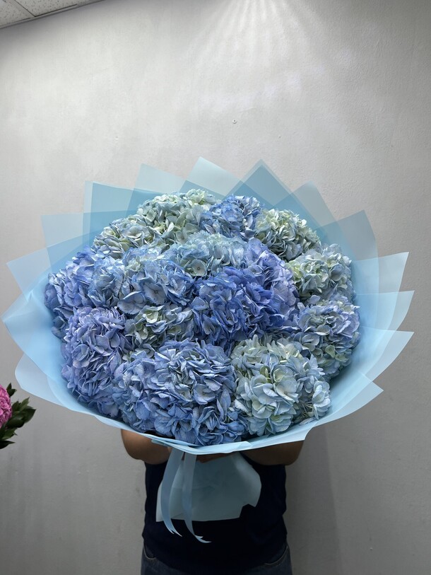 Букет из 15 голубых гортензий за 10990₽ с доставкой в Москве от FLORAPARADISE.BM на Flawery