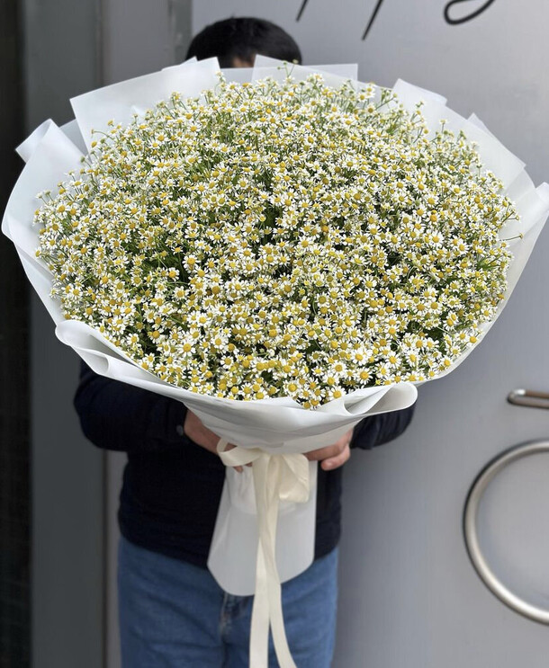 Букет из 101 ромашек 🤍 за 27900₽ с доставкой в Москве от FLORAPARADISE.BM на Flawery