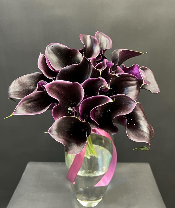 Букет цветов Черные каллы 19 шт за 9790₽ с доставкой в Москве от Costa Flowers на Flawery