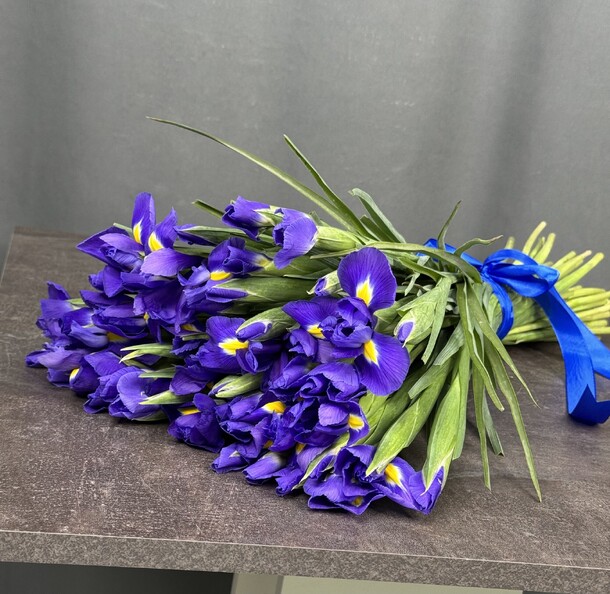 Букет синих ирисов за 8050₽ с доставкой в Москве от Red Rose на Flawery