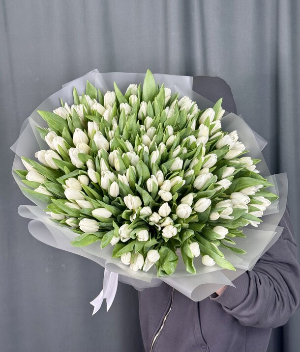 Букет цветов 151 белый тюльпан за 45649₽ с доставкой в Москве от Red Rose на Flawery