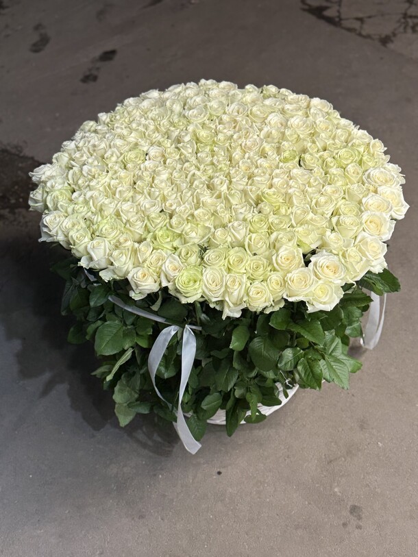 Букет цветов Роза в корзине за 62180₽ с доставкой в Москве от PION FLOWERS на Flawery