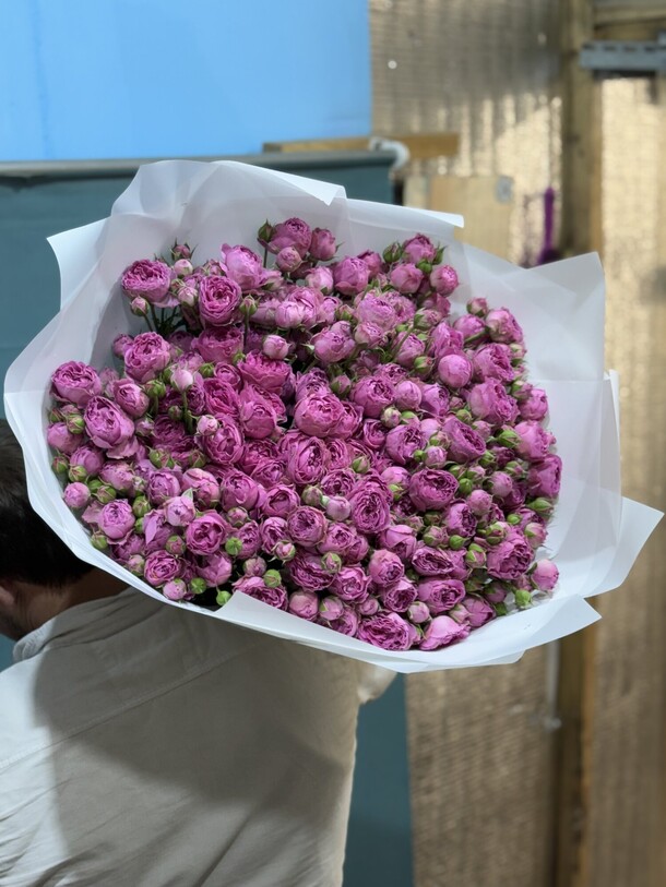 Букет цветов Роза кустовая пионовидная за 16000₽ с доставкой в Москве от PION FLOWERS на Flawery