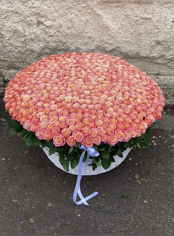 Букет цветов Роза в корзине за 110190₽ с доставкой в Реутове от PION FLOWERS на Flawery