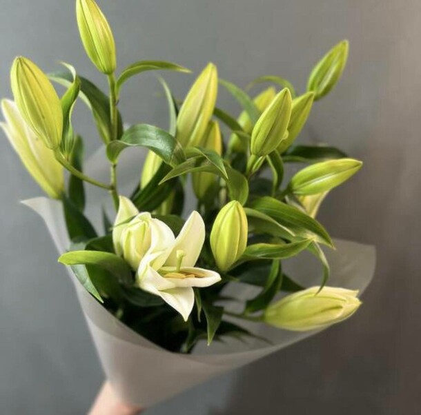 Букет лилий за 4400₽ с доставкой в Москве от Lady Rose Flowers на Flawery