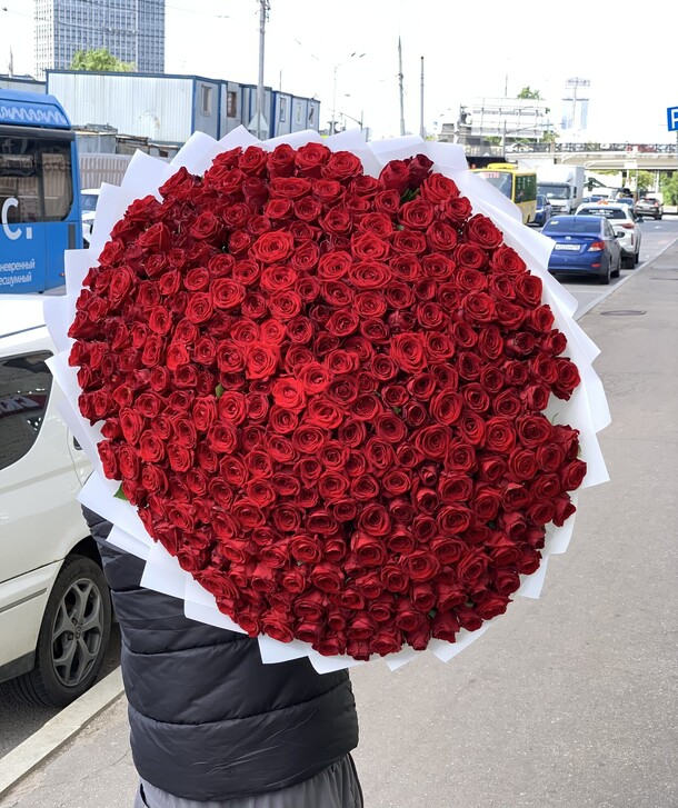 Красная роза 201 шт😍, артикул F1504177 - 33980 рублей, доставка по городу. Flawery - доставка цветов