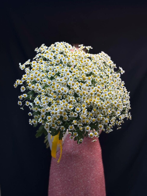 Букет цветов Ромашка🌸 за 17148₽ с доставкой в Москве от AYANA FLOWERS на Flawery