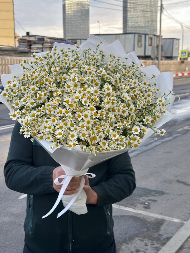 Букет цветов Ромашка 😍 за 7865₽ с доставкой в Москве от AYANA FLOWERS на Flawery