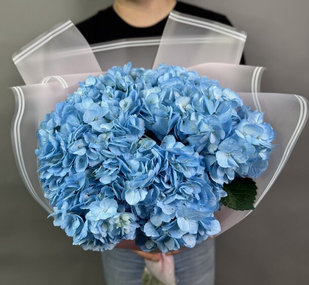 Букет цветов Голубая гортензия 5шт за 5100₽ с доставкой в Москве от Flower4U на Flawery