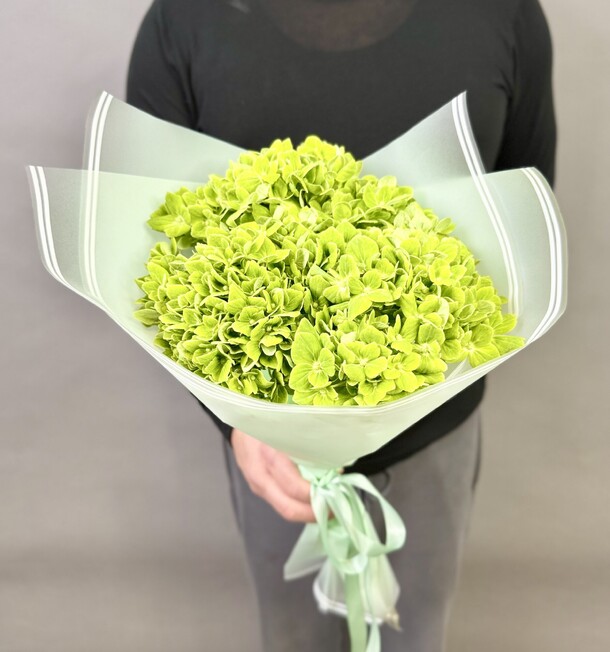 Букет цветов Зеленая гортензия за 2900₽ с доставкой в Москве от Flower4U на Flawery